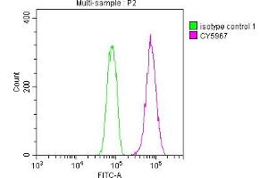 Overlay histogram showing Hela cells stained with ABIN7127413 (red line) at 1:50.