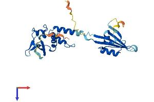 AlphaFold protein structure predicition of Human Recombinant KCTD1 Protein, UniprotID Q719H9