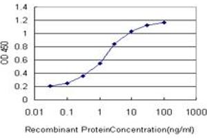 Detection limit for recombinant GST tagged SLC22A13 is approximately 0.