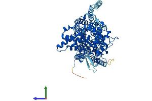 AlphaFold protein structure predicition of Mouse Recombinant Stt3a Protein, UniprotID P46978