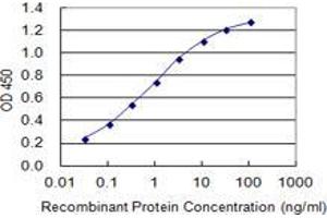 Detection limit for recombinant GST tagged LASS1 is 0.