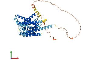 AlphaFold protein structure predicition of Human Recombinant SLC35D3 Protein, UniprotID Q5M8T2