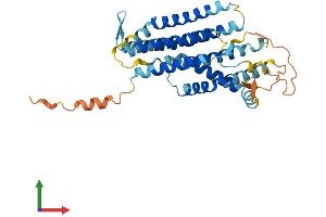 AlphaFold protein structure predicition of Human Recombinant GPR160 Protein, UniprotID Q9UJ42
