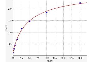 Typical standard curve (PRKACB Kit ELISA)