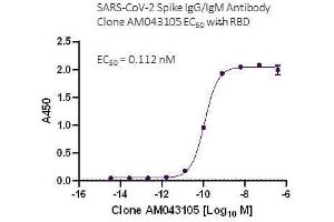 SARS-CoV-2 Spike IgG/IgM Antibody (AM043105) tested by ELISA using SARS Spike protein RBD. (Recombinant SARS-CoV-2 Spike IgG/IgM anticorps)