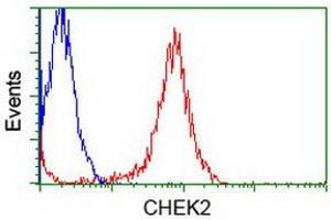 Flow Cytometry (FACS) image for anti-Checkpoint Kinase 2 (CHEK2) antibody (ABIN1497500) (CHEK2 anticorps)