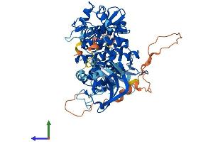 AlphaFold protein structure predicition of Mouse Recombinant Syk Protein, UniprotID P48025