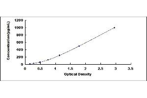 Typical standard curve (Iba1 Kit ELISA)