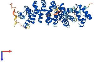 AlphaFold protein structure predicition of Mouse Recombinant Saal1 Protein, UniprotID Q9D2C2
