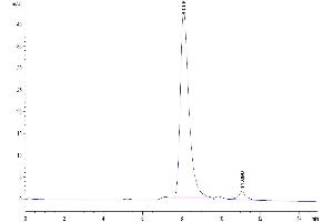The purity of Mouse CD40 is greater than 95 % as determined by SEC-HPLC.