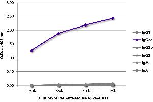 ELISA plate was coated with purified mouse IgG1, IgG2a, IgG2b, IgG3, IgM, and IgA. (Rat anti-Souris IgG2a Anticorps (Biotin))