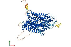 AlphaFold protein structure predicition of Mouse Recombinant Slc6a11 Protein, UniprotID P31650