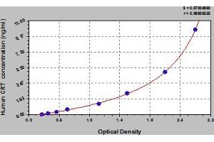Typical Standard Curve (Calreticulin Kit ELISA)