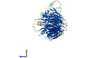 AlphaFold protein structure predicition of Mouse Recombinant Elp2 Protein, UniprotID Q91WG4