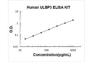 UL16 Binding Protein 3 (ULBP3) ELISA Kit