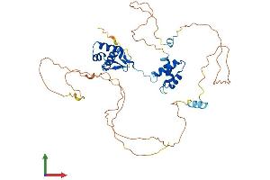 AlphaFold protein structure predicition of Human Recombinant PAX2 Protein, UniprotID Q02962