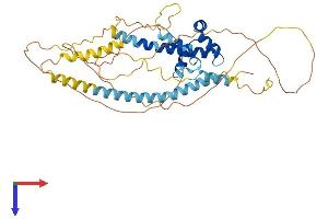 AlphaFold protein structure predicition of Mouse Recombinant Bsdc1 Protein, UniprotID Q80Y55