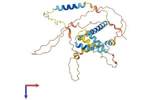 AlphaFold protein structure predicition of Human Recombinant BCL2L12 Protein, UniprotID Q9HB09
