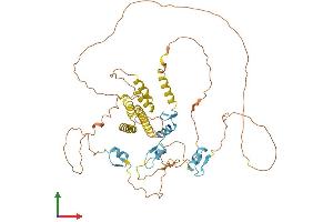 AlphaFold protein structure predicition of Human Recombinant ZBTB2 Protein, UniprotID Q8N680
