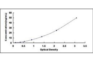 Typical standard curve (LRP5 Kit ELISA)