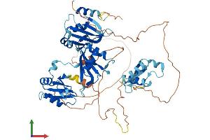 AlphaFold protein structure predicition of Human Recombinant A1CF Protein, UniprotID Q9NQ94