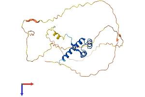 AlphaFold protein structure predicition of Human Recombinant HOXA9 Protein, UniprotID P31269