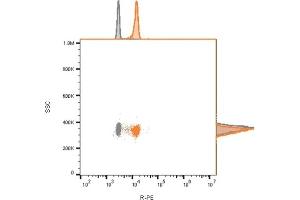 Flow cytometry analysis of bead-bound exosomes derived from MCF-7 cells. (Recombinant CD81 anticorps)