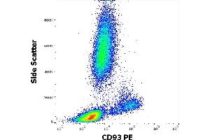 Flow cytometry surface staining pattern of human peripheral whole blood stained using anti-human CD93 (VIMD2) PE antibody (10 μL reagent / 100 μL of peripheral whole blood). (CD93 anticorps  (PE))