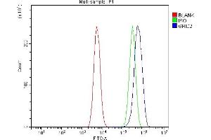 Flow Cytometry analysis of C6 cells using anti-GRID2 antibody (ABIN7603172). (GRID2 anticorps  (N-Term))