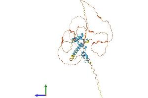 AlphaFold protein structure predicition of Human Recombinant KLF17 Protein, UniprotID Q5JT82