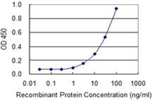 Detection limit for recombinant GST tagged SLC3A1 is 0.