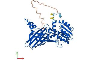 AlphaFold protein structure predicition of Mouse Recombinant Prmt1 Protein, UniprotID Q9JIF0