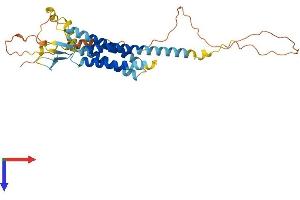 AlphaFold protein structure predicition of Mouse Recombinant Cacng4 Protein, UniprotID Q9JJV4