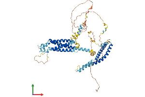 AlphaFold protein structure predicition of Mouse Recombinant Marveld2 Protein, UniprotID Q3UZP0