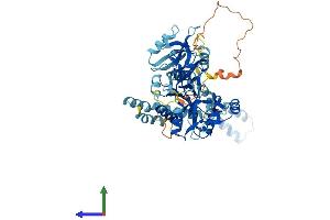 AlphaFold protein structure predicition of Mouse Recombinant Mpp7 Protein, UniprotID Q8BVD5