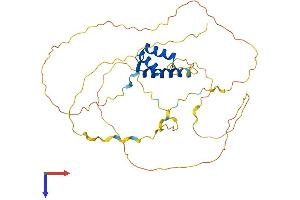 AlphaFold protein structure predicition of Mouse Recombinant Alx3 Protein, UniprotID O70137