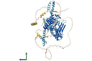 AlphaFold protein structure predicition of Human Recombinant ABCF1 Protein, UniprotID Q8NE71