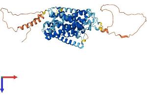 AlphaFold protein structure predicition of Mouse Recombinant Slc38a4 Protein, UniprotID Q8R1S9