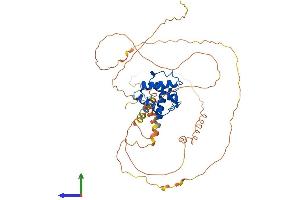 AlphaFold protein structure predicition of Mouse Recombinant Smtnl1 Protein, UniprotID Q99LM3