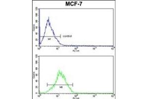 RBM3 Antibody (Center) (ABIN391593 and ABIN2841522) FC analysis of MCF-7 cells (bottom histogram) compared to a negative control cell (top histogram).