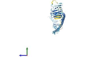 AlphaFold protein structure predicition of Mouse Recombinant Trim17 Protein, UniprotID Q7TPM3
