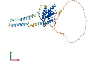 AlphaFold protein structure predicition of Human Recombinant SNAPC1 Protein, UniprotID Q16533