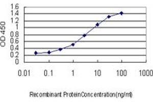 Detection limit for recombinant GST tagged LEF1 is approximately 0.