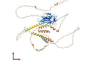AlphaFold protein structure predicition of Mouse Recombinant Prdm11 Protein, UniprotID A2AGX3