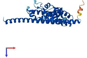 AlphaFold protein structure predicition of Mouse Recombinant Tsn Protein, UniprotID Q62348