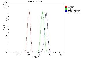 Flow Cytometry analysis of U20S cells using anti-SEZ6L antibody (ABIN7602260). (SEZ6L anticorps  (AA 662-953))