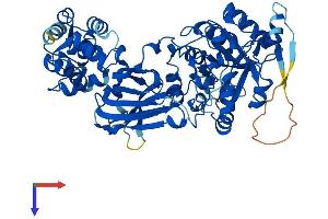 AlphaFold protein structure predicition of Human Recombinant PLCZ1 Protein, UniprotID Q86YW0