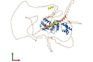 AlphaFold protein structure predicition of Mouse Recombinant Senp5 Protein, UniprotID Q6NXL6