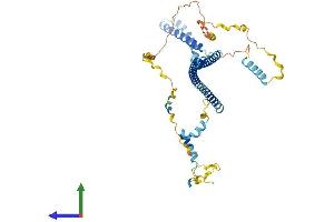 AlphaFold protein structure predicition of Human Recombinant PDCD7 Protein, UniprotID Q8N8D1