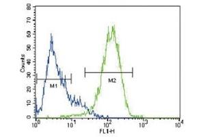 ABCG2 antibody flow cytometric analysis of HepG2 cells (right histogram) compared to a negative control (left histogram)